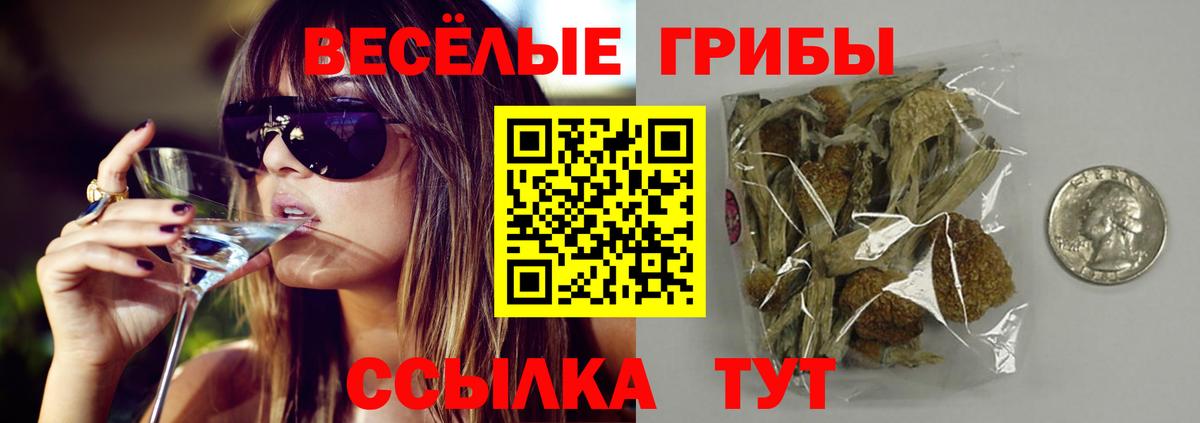 Галлюциногенные грибы GOLDEN TEACHER  Вход с VPN  Похвистнево  Галлюциногенные грибы MAGIC MUSHROOMS 